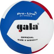 Мяч вол. GALA Pro-Line 12, р. 5,синт.кожа ПУ Microfiber,клееный,бут.кам,бело-гол