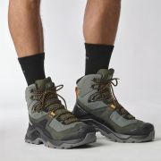 Кроссовки Salomon QUEST ELEMENT GORE-TEX Pewter/Beluga/Buckskin Male