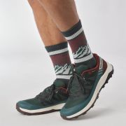 Кроссовки SALOMON OUTRISE GTX Ponder/Bchoco/Vanila