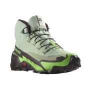 Кроссовки Salomon CROSS HIKE MID GTX 2 Desert Sage/Green Gecko/Chocolate Plum Male