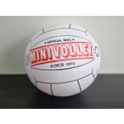 Мяч для японского мини волейбола